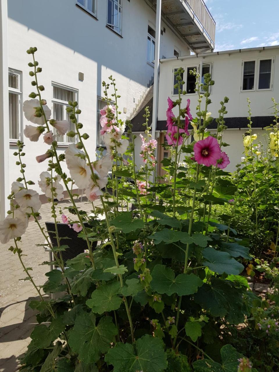 Hotel Sandvig Havn Allinge-Sandvig